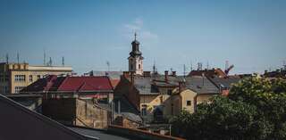 Хостелы Alina Hotel & Hostel Ужгород-2