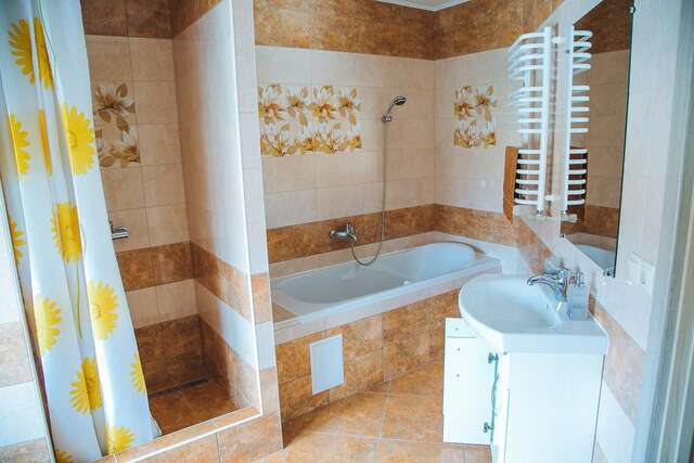 Хостелы Alina Hotel & Hostel Ужгород-12